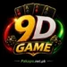 9D Game